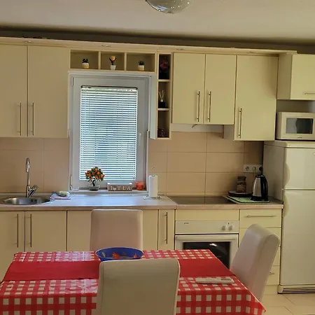 Dzeni * 塞拉耶佛